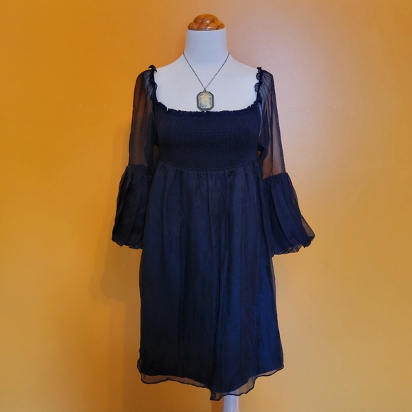 Zara Dresses & Skirts - Zara Lantern Sleeve Sheer Black Smocked Empire Waist Dress